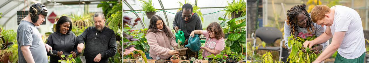 Brighton Greenhouse Trio Blog.jpg